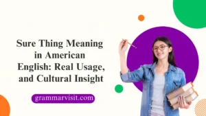 Sure Thing Meaning in American English